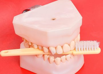 dental dental